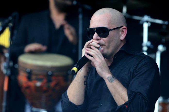 pitbull fortuna de pitbull