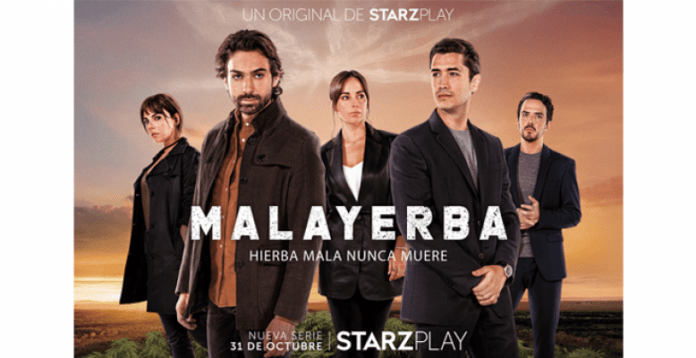 enfoque-estilo-de-vida-malayerba-starzpay