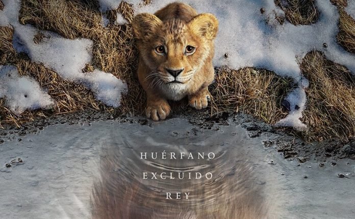 wonderwall_instagram_teaser_poster_las_f9b6b48a