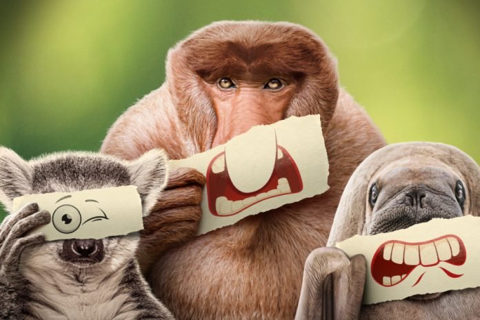 UNDERDOGS_3840x3840_72DPI-2-1