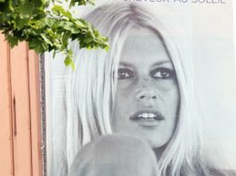 Brigitte Bardot | Foto: Shutterstock