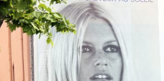 Brigitte Bardot | Foto: Shutterstock