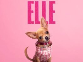 ELLE | Foto: HM Communications