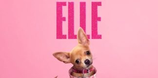 ELLE | Foto: HM Communications