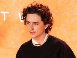 Timothée Chalamet | Foto: Shutterstock