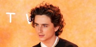 Timothée Chalamet | Foto: Shutterstock