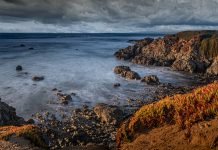 “Alfonsina y el mar”: la historia real detrás de la canción y la vida de Alfonsina Storni Foto: Shutterstock