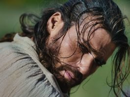 Todo sobre Can Yaman | Foto: Cortesía Telemundo